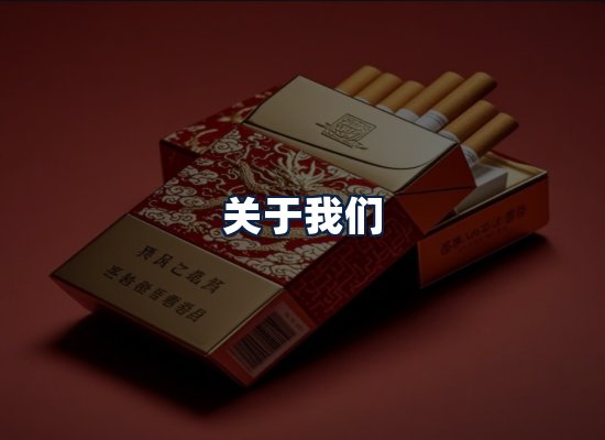 关于我们